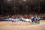 Extreme - 00951